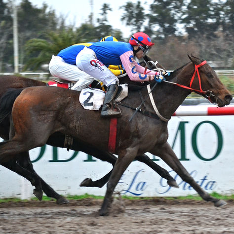Xurra Nips Tardona at the Wire to Take the Clásico Morales