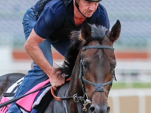 Brotherly Love va por el UAE Derby que en 2025 se le negó a su hermano