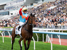 Ka Ying Rising llegó a 19 triunfos al hilo tras ganar la Sprint Cup en Hong Kong