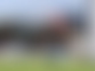 Miss Talento hizo honor a su nombre y ganó el Clásico Blue Prize