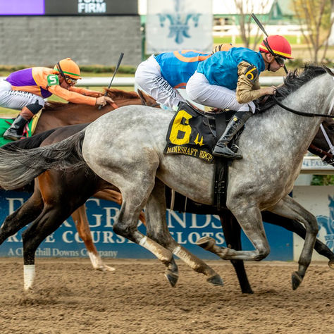 Hit Show, el hijo de Candy Ride al que parecen no pasarle los años