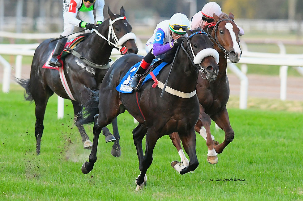 A Wealth of Listed Stakes Highlights the Upcoming Cards at San Isidro