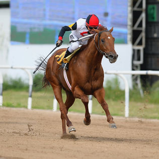 Buen Escosés va ante Atomic Trigger en el Especial El Serrano