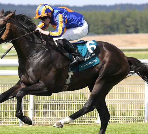 Scandinavia Was Unstoppable Once Again, Ratifying Her Reign in the Goodwood Cup