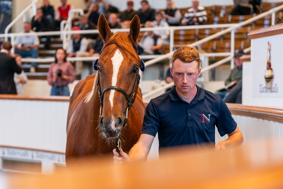 Godolphin paid 4,600,000 guineas for a colt by Night of Thunder, setting a new European record