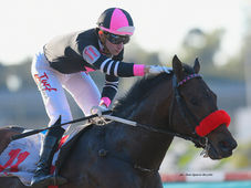 A massive blow: Fletcher tests positive in the Polla de Potrillos
