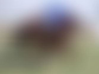 Durmia se afirma en la velocidad y parece estar para más...