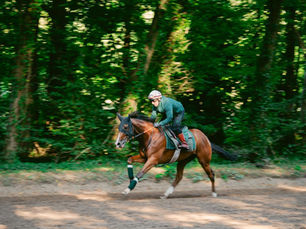 Calandagan Arrives in Peak Form to Defend His Crown in the King George at Ascot