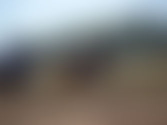 Señor Dan tuvo que trabajar tiempo extra, pero alcanzó el objetivo