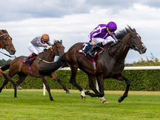 Isaac Newton Lands the Desmond Stakes and Delivers Another Historic Milestone for Aidan O'Brien
