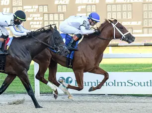 John Hancock puso clase para mantener su invicto en el Sam F. Davis Stakes ante Owen Almighty