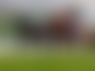 Redentor se llevó el Tenno Sho Spring japonés, donde corrió fenómeno un hijo de Furia Azteca