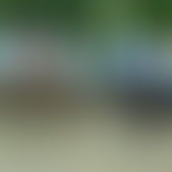 Revista Todo a Ganador - Programa y tabuladas para la reunión del Lunes 17/11 en el Hipódromo de Palermo