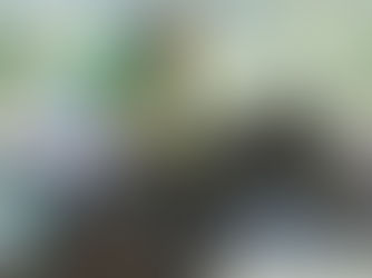 Kelly Rose busca dar la nota en el plano superior, ante rivales de riesgo elevado