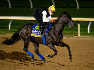 La Breeders' Cup pierde figuras: Splendora, Scottish Lassie y Test Score, entre las bajas más importantes