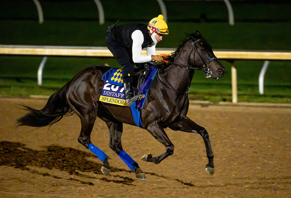 La Breeders' Cup pierde figuras: Splendora, Scottish Lassie y Test Score, entre las bajas más importantes