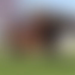 Juan Carlos Noriega y una clase magistral con Deep Heart