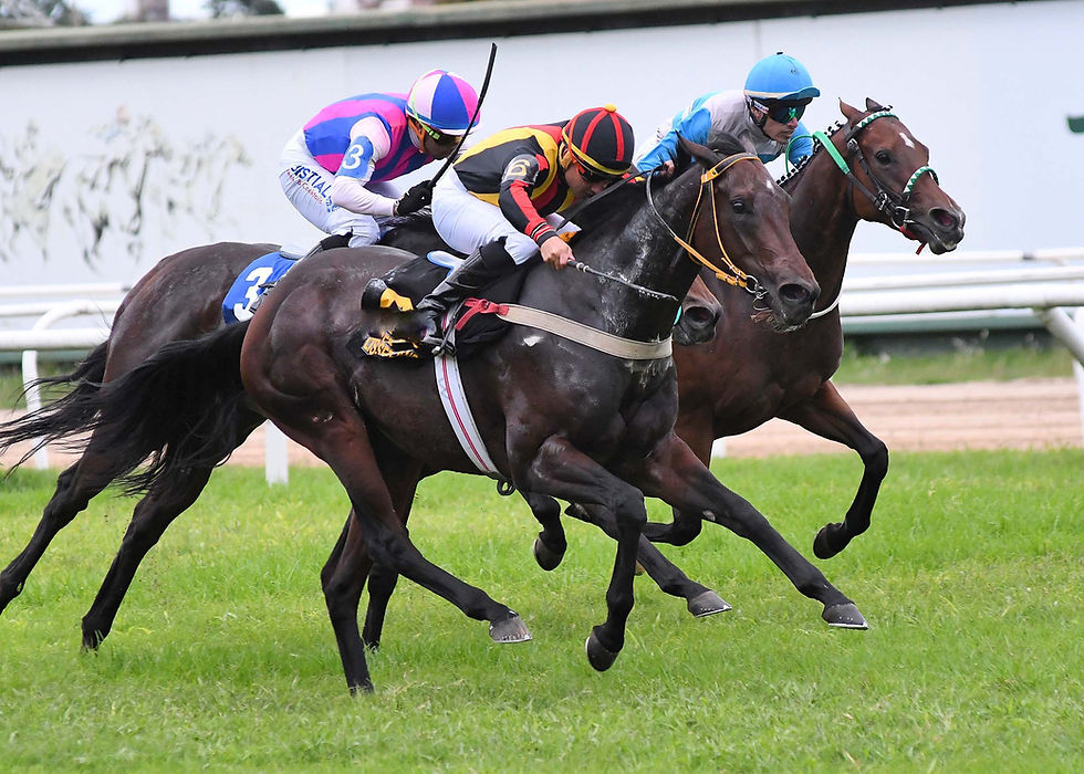 Lissette Island levantó una pared para exteder su gran momento