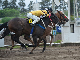 Emma Linda gritó en el final del Especial Illegally Blonde