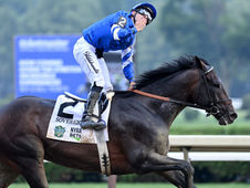 Stephen Foster Stakes: the world turns its eyes to Churchill Downs