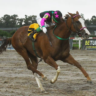 A La Vista se recuperó de los péchazos y tapó en el disco a Jugadoraza