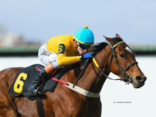 Carmensita Set to Challenge Elite Field in Demanding Belmont Oaks