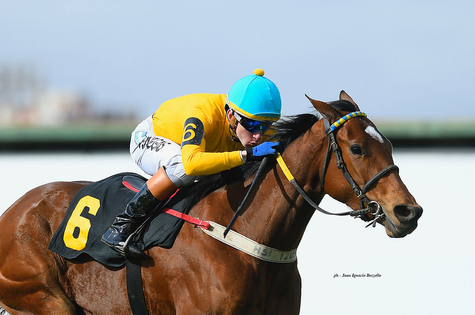 The Time for a US Debut Arrives for Argentine G1-Placed Carmensita