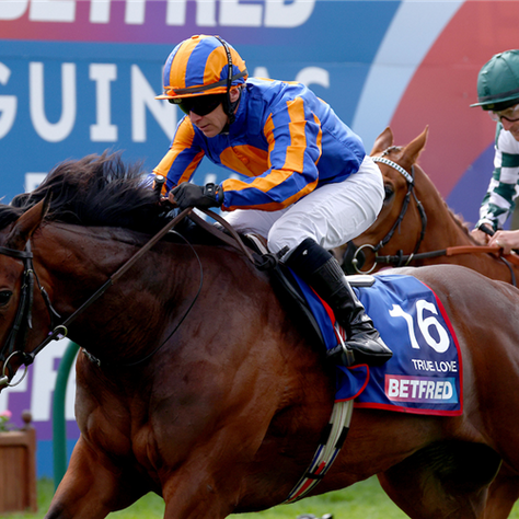 True Love and Christmas Day Head the Race for the Cartier Awards