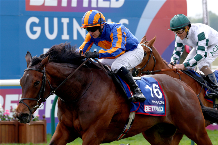 True Love gave Aidan O'Brien the 1000 Guineas for the eighth time