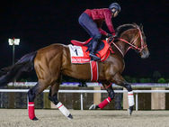 Forever Young, ante la carrera que puede ponerlo por encima de todos