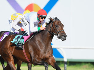 Polvorón repitió y Quality Boy se reencontró con la victoria