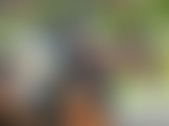 Lost Beach esperó y sacó lo mejor de su atropellada para llevarse el especial