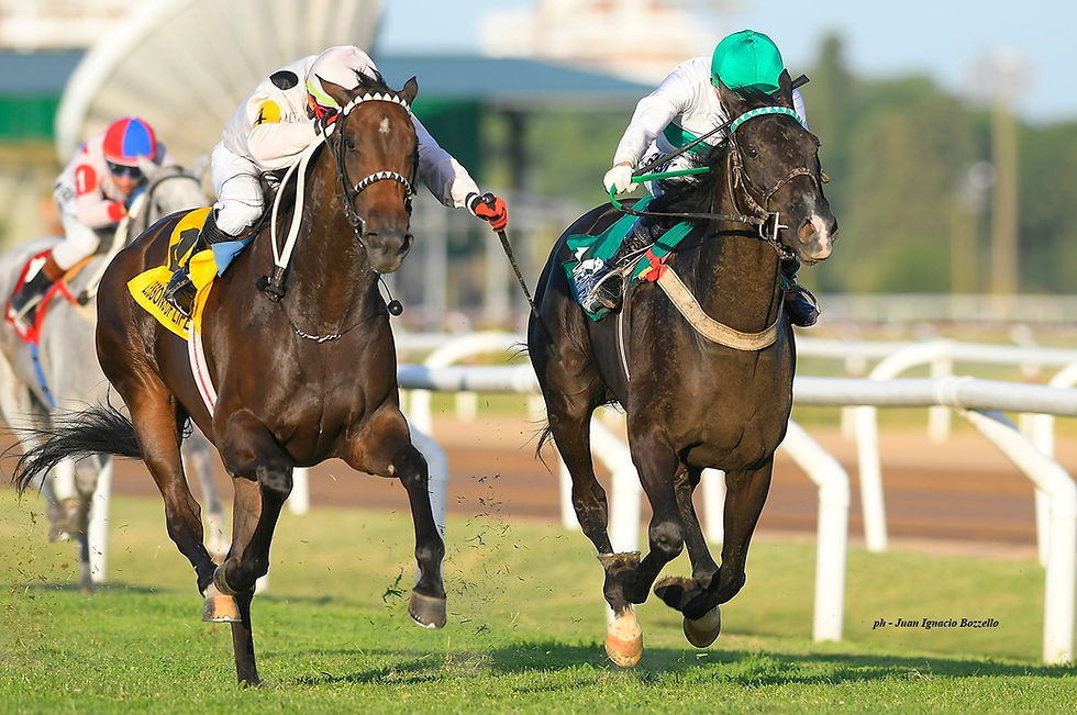 Lessons of Life (left) narrowly resisted the charge of Dream Serena / JUAN I. BOZZELLO