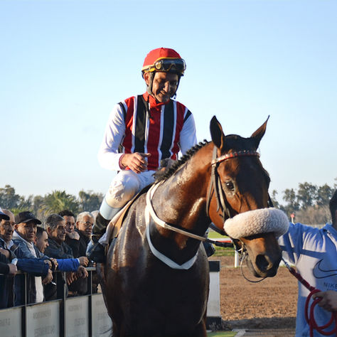 At La Plata, Nassau Atoned Against Sono Perfetto