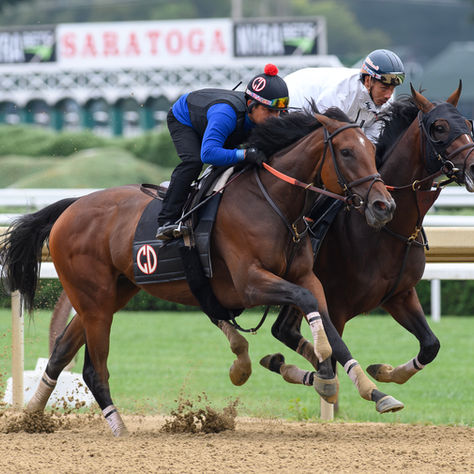 Golden Tempo fine-tunes his preparation for the Travers as DeVaux deems him ready