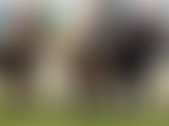 Con El Exito fallando, Kopke se agrandó como nunca en el Ecuador