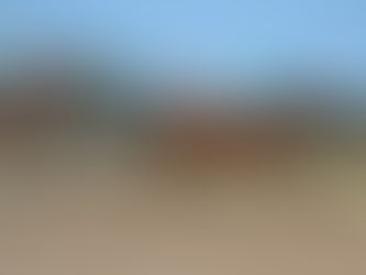 Sono Perfetto ganó el Clausura a lo bueno y ratificó sus excelentes condiciones