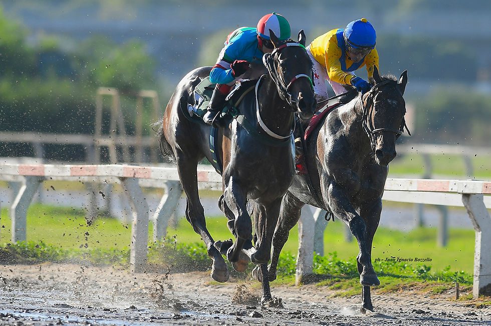 The Great Terms Returns to Action in the Cané and Puts His Undefeated Record on the Line / JUAN I. BOZZELLO