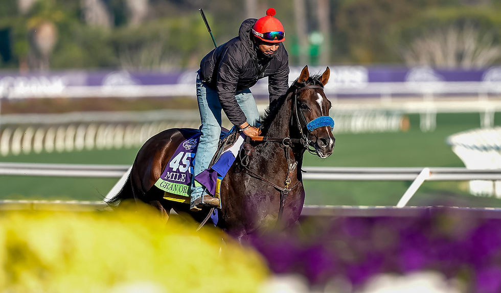 José Álvarez Donoso, Part of the Chilean Dream at the Breeders’ Cup