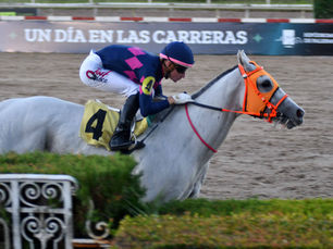 La Mykonos hizo galope largo en el Handicap Spiny, y cada día corre Mask