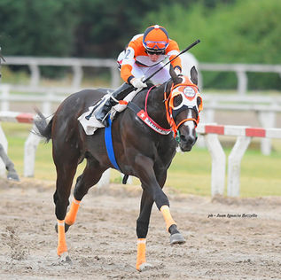 Netflix estrenó la película de los Peaky Blinders y Thomas Shelby ganó en Palermo