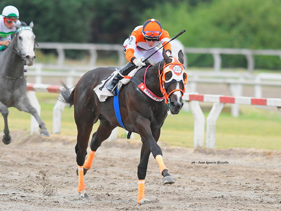 Netflix estrenó la película de los Peaky Blinders y Thomas Shelby ganó en Palermo