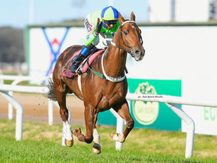 Hi Pocho, un triunfo bárbaro, de la mano de un jockey que brilló: Gonzalo Borda