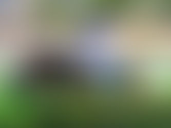 Epityrum pega la vuelta en un duro handicap