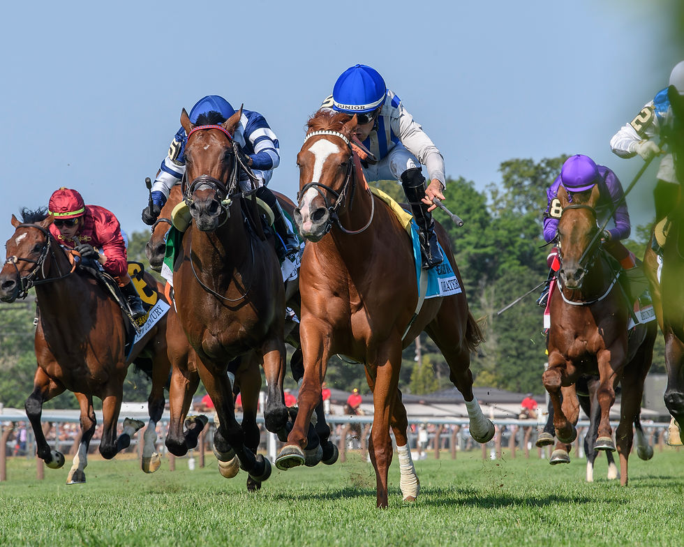 World Beater fue otra de las figuras del sábado en Saratoga / ADAM COGLIANESE / NYRA
