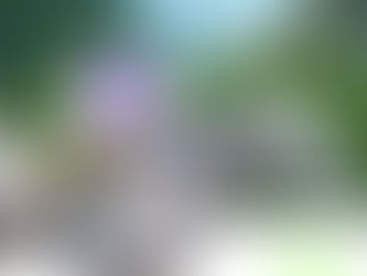 Envidioso Frank, Sizzling Hot y Tipazo, los nombres salientes