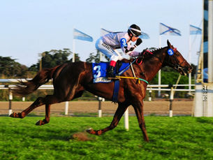 Este martes, la liquidación del Haras Orilla del Monte, cuna de campeones