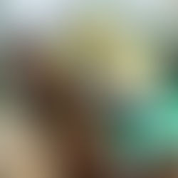 Skippylongstocking no viajó a California y no correrá el Santa Anita Handicap