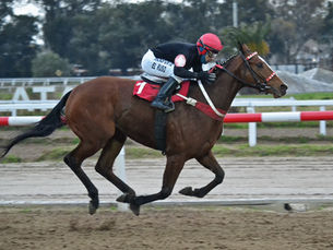 De atrás y con decisión, Starry Bomb explotó en el final para ganar el Clásico Wilfredo Latham