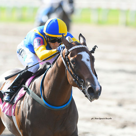 Corazón Federal y Unica Forma dieron la nota entre los 2 años